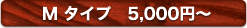 Mタイプ　5000円～