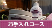 お手入れコース