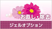 ジェルオプション
