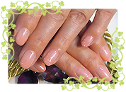 カラーグラデ GEL