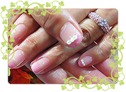 フレンチコース