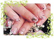 ドットフレンチ