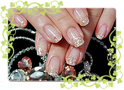 ＧＮアレンジｖｅｒ．