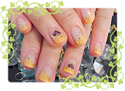 ＧＮアレンジｖｅｒ．