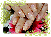 ＧＮアレンジｖｅｒ．