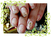 ＧＮアレンジｖｅｒ．