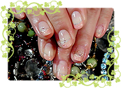 ＧＮバックナンバー