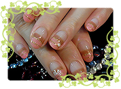 ＧＮバックナンバー