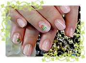 ＧＮアレンジｖｅｒ．