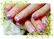 ＧＮキャンペーン