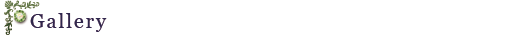 ギャラリー